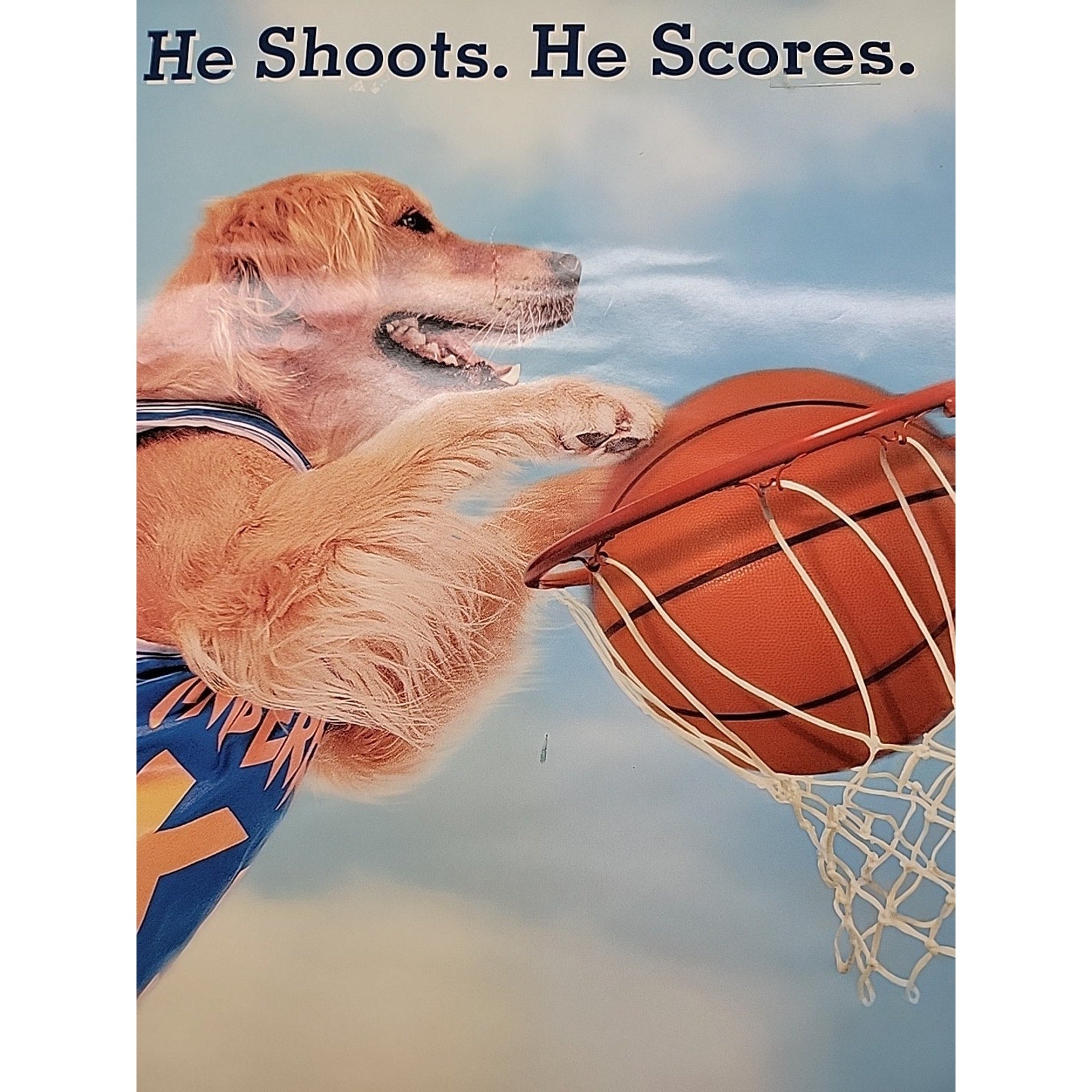Double Sided Original Movie Posters ~ 27”x40” Air Bud