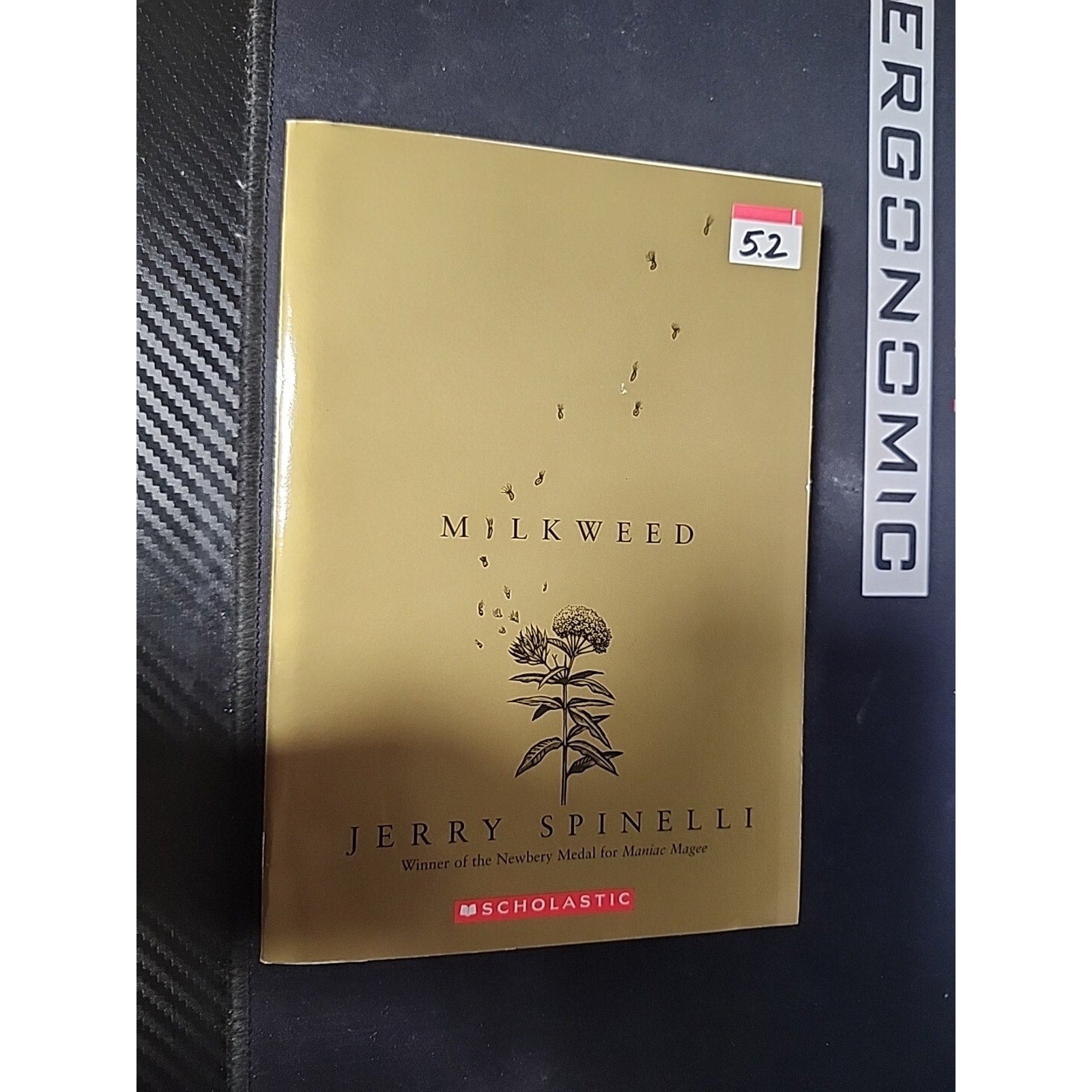Milkweed by Jerry Spinelli (2005, Trade Paperback)