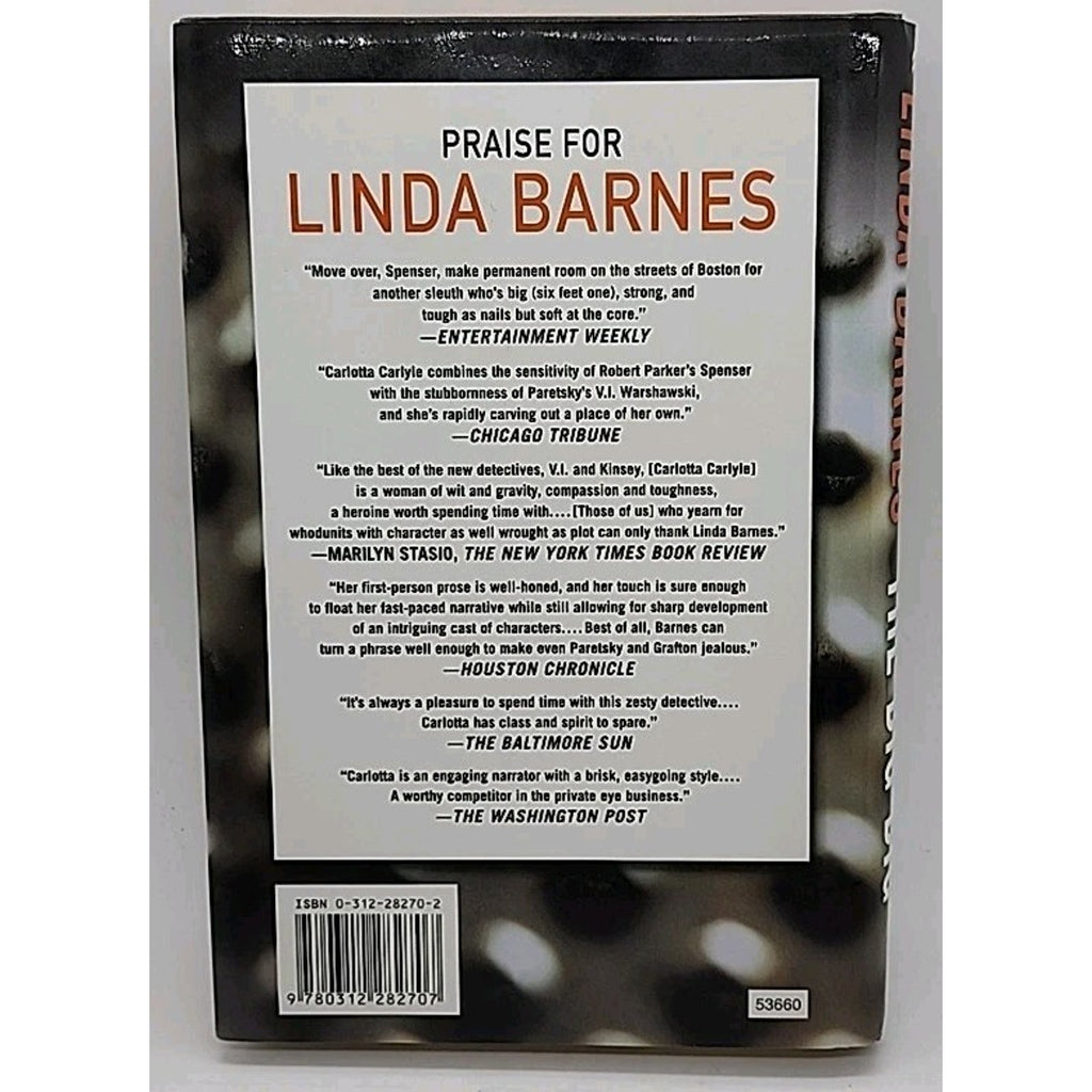 Big Dig by Linda Barnes (2002, Hardcover)