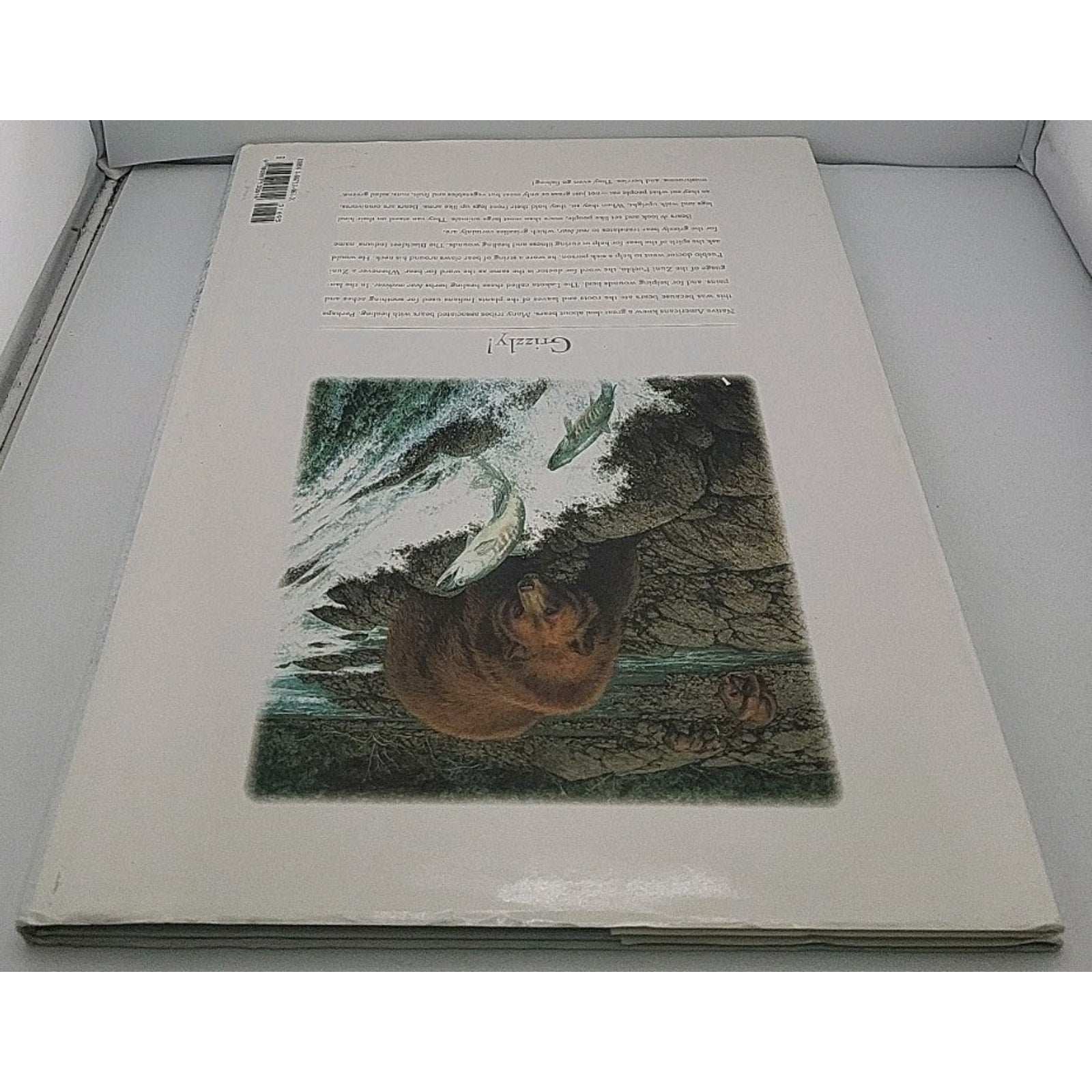 Reading the Wild by Bev Doolittle (2001, Hardcover)