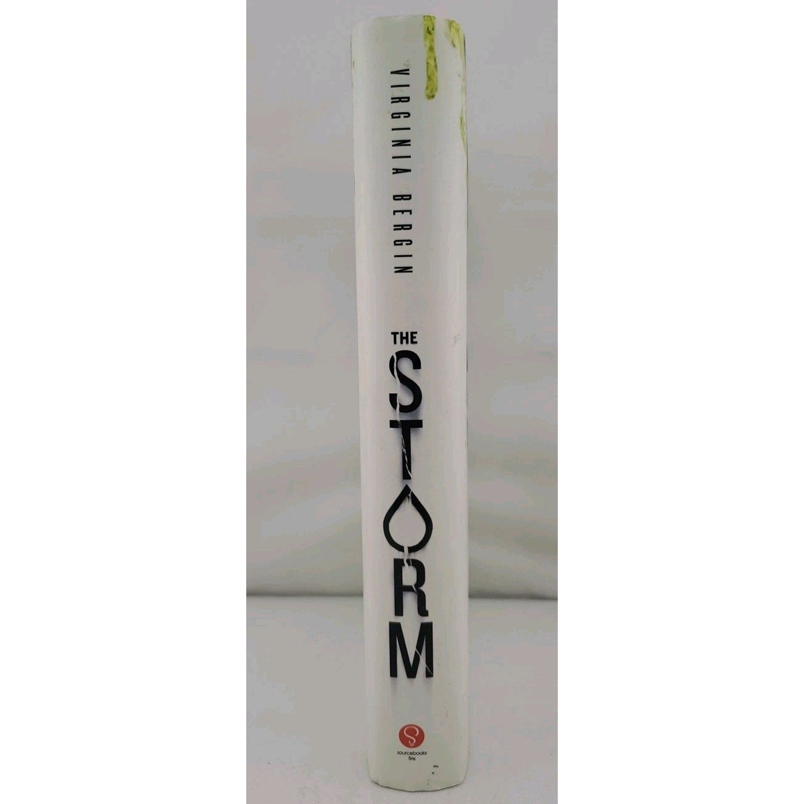 Storm by Virginia Bergin (2015, Hardcover)