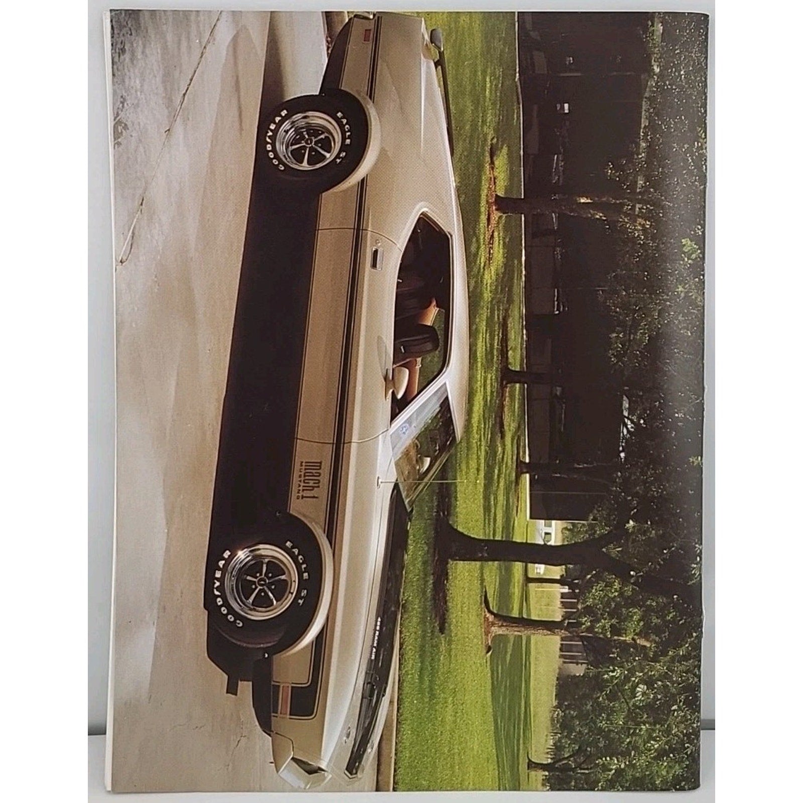 Mustang Times Magazine - January 1996 - Vol. 20 No. 1