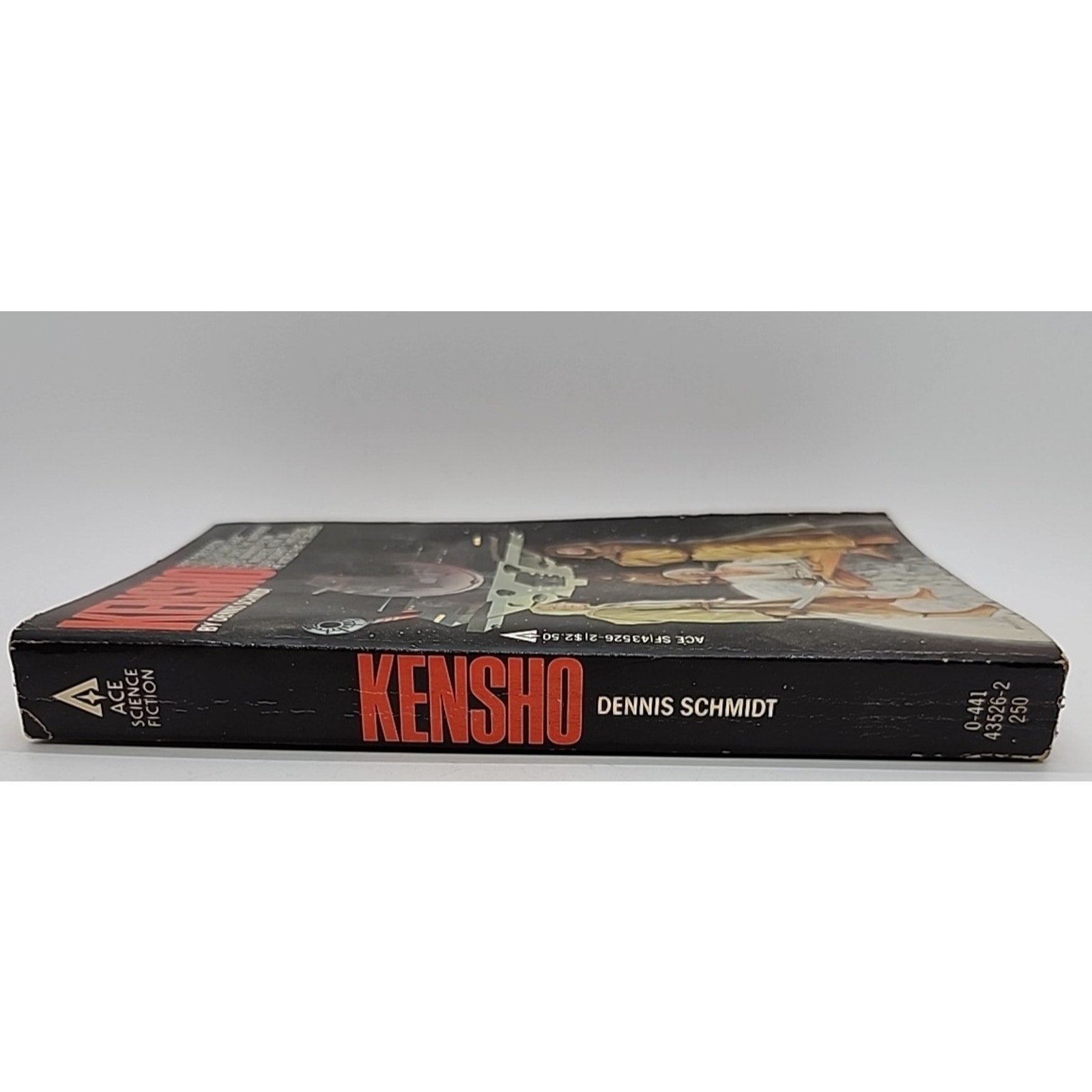 Kensho by Dennis Schmidt (1979 Ace Books Paperback)
