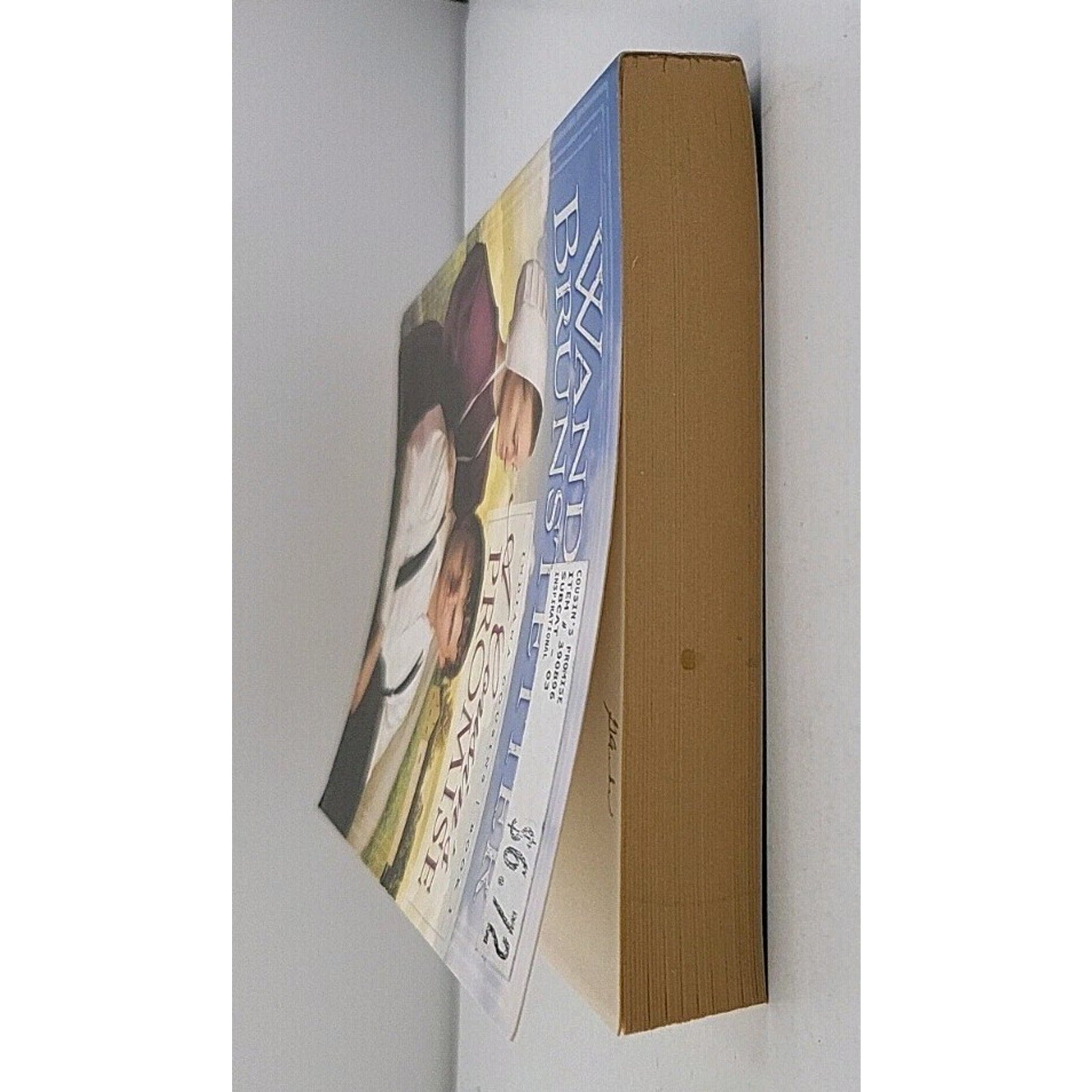 Cousin's Promise by Wanda E. Brunstetter (2009, Trade Paperback)