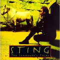 Ten Summoner's Tales (Jewel Box) by Sting (CD, 1993)