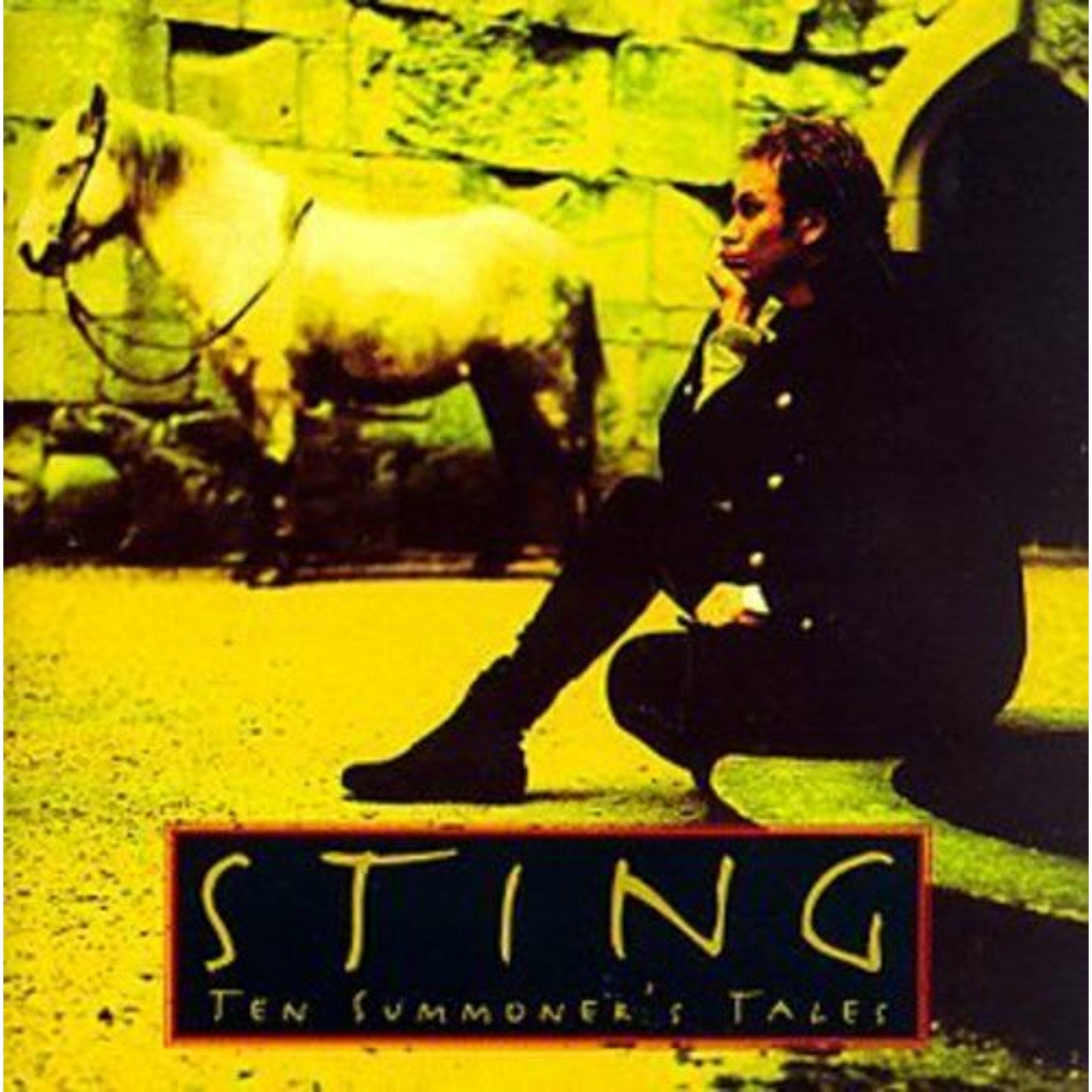 Ten Summoner's Tales (Jewel Box) by Sting (CD, 1993)
