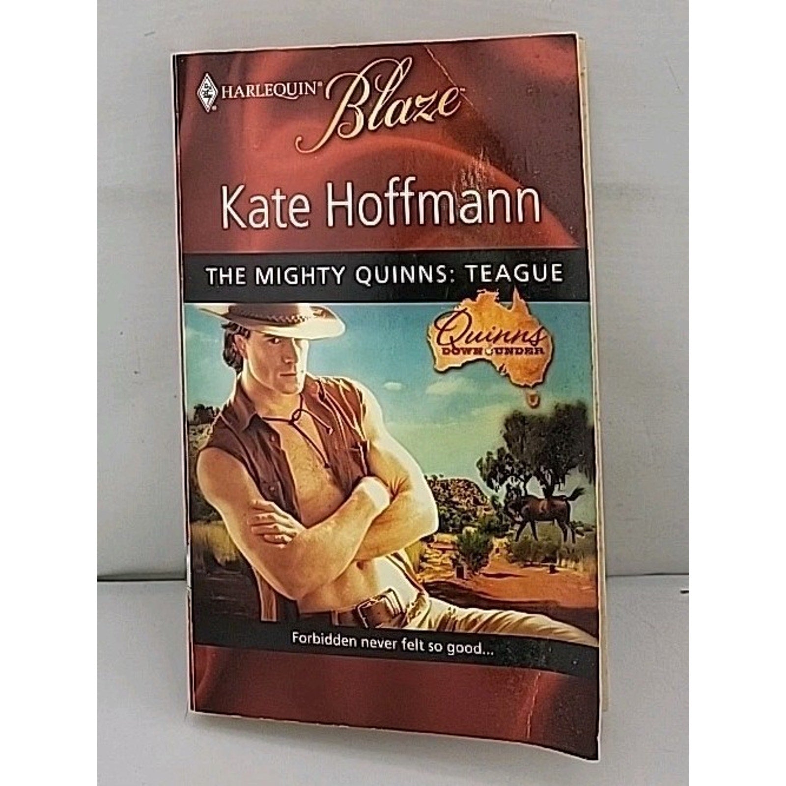 Mighty Quinns: Teague by Kate Hoffmann (2009, Mass Market)