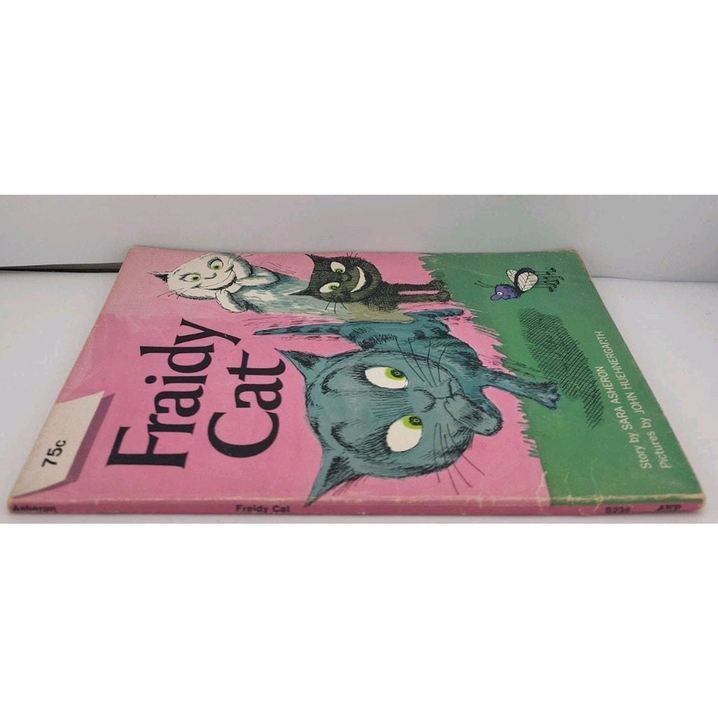 Fraidy Cat Book By Sara Asheron