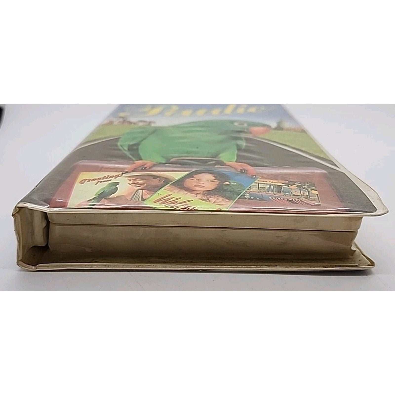 Paulie (VHS, 1998, Clamshell)