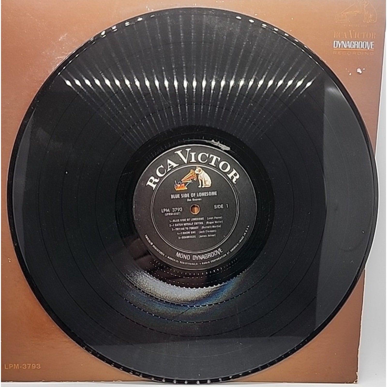 Jim Reeves, Blue Side of Lonesome (Record)