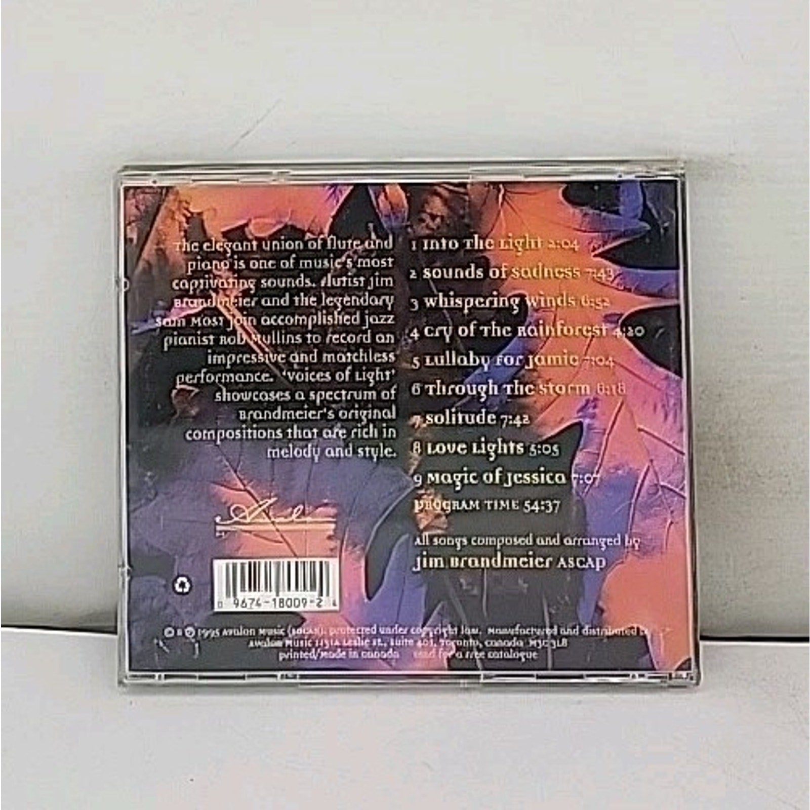 Voices of Light by Jim Brandmeier (CD, 1998)