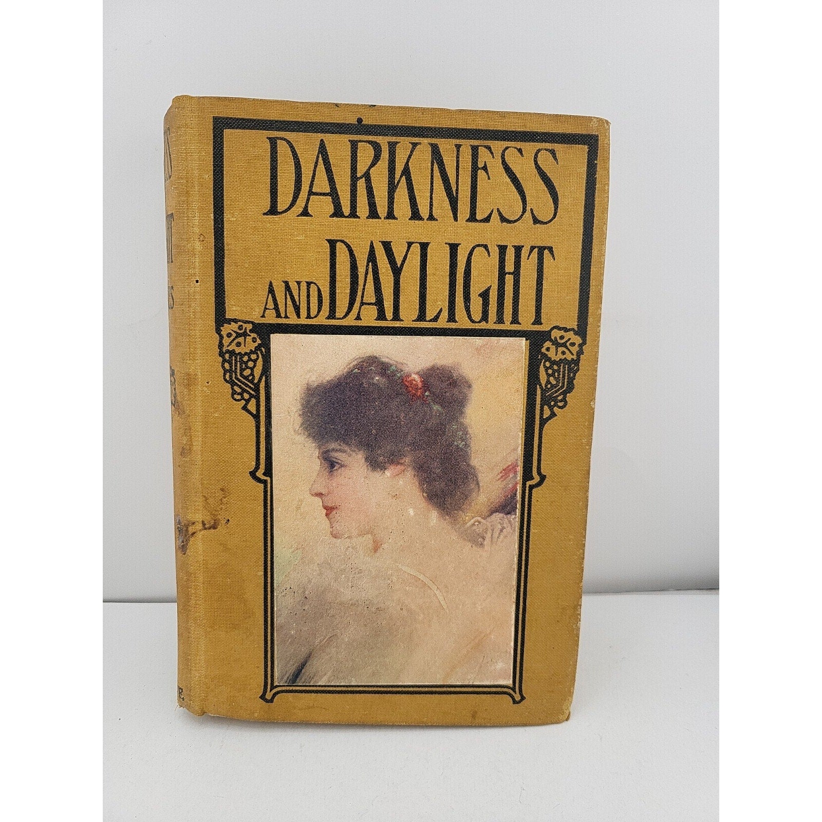 Darkness And Daylight By Mary J. Holmes