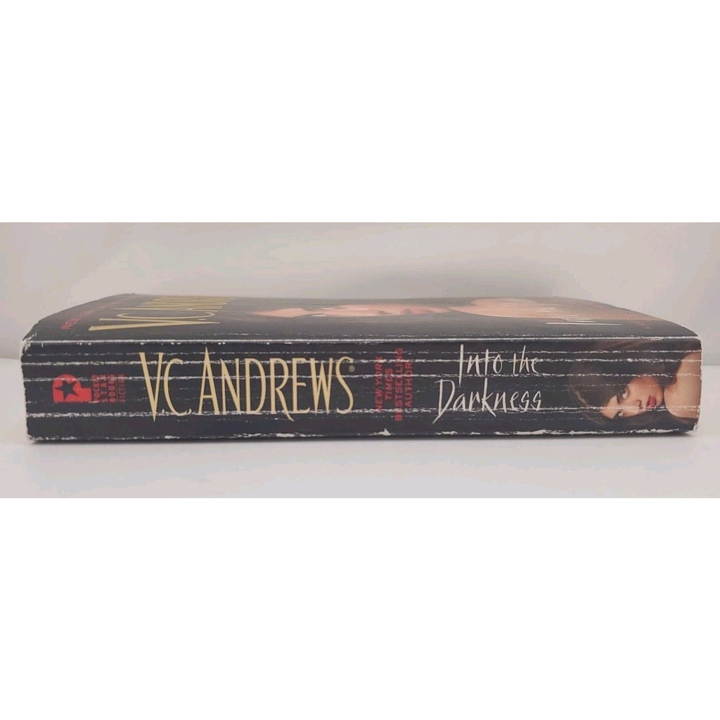 Into the Darkness by V. C. Andrews (2012, Mass Market)