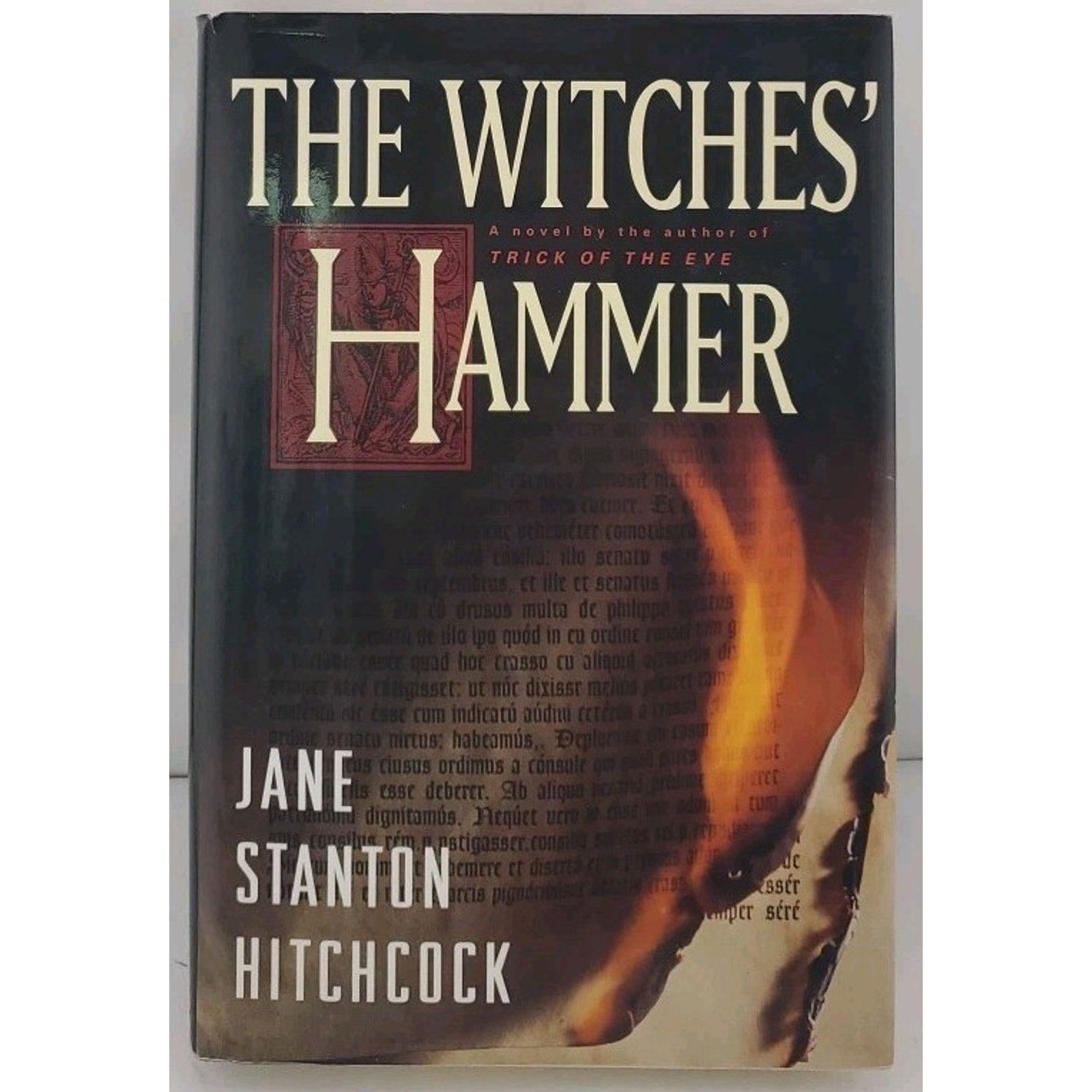 Witches' Hammer by Jane Stanton Hitchcock (1994, Hardcover)