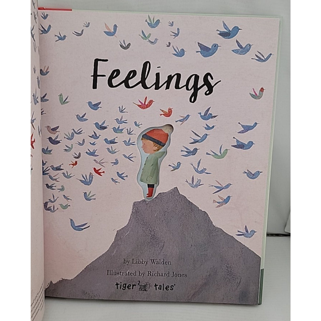 Feelings by Libby Walden (2018, Hardcover)