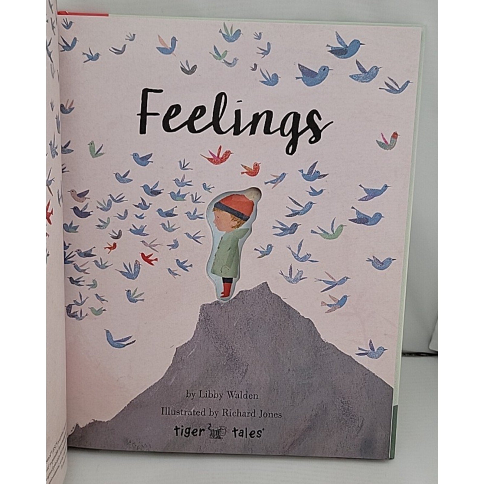 Feelings by Libby Walden (2018, Hardcover)