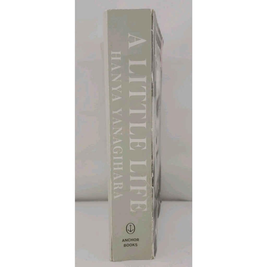 Little Life by Hanya Yanagihara (2016, Trade Paperback)