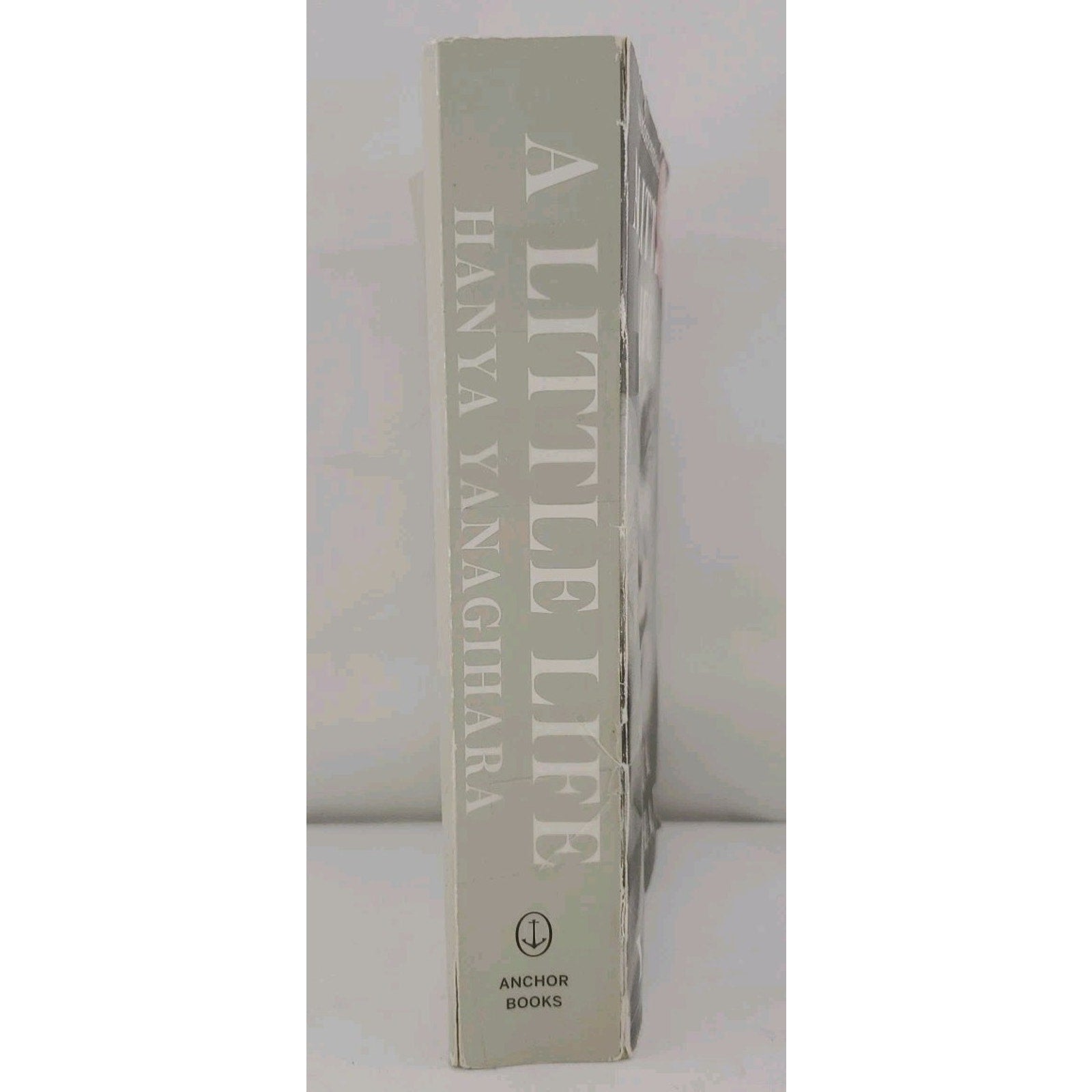 Little Life by Hanya Yanagihara (2016, Trade Paperback)