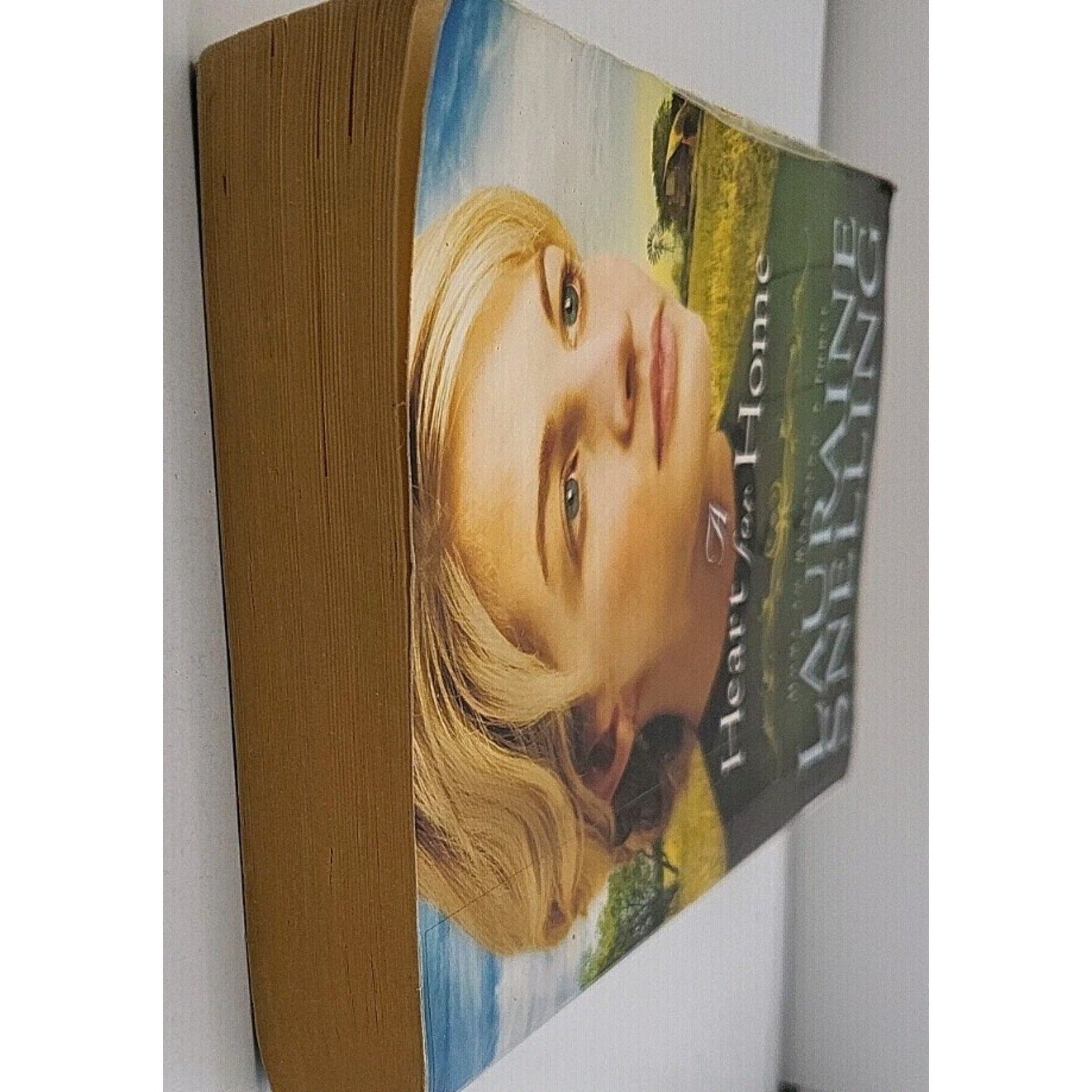 Heart for Home by Lauraine Snelling (2011, Trade Paperback)