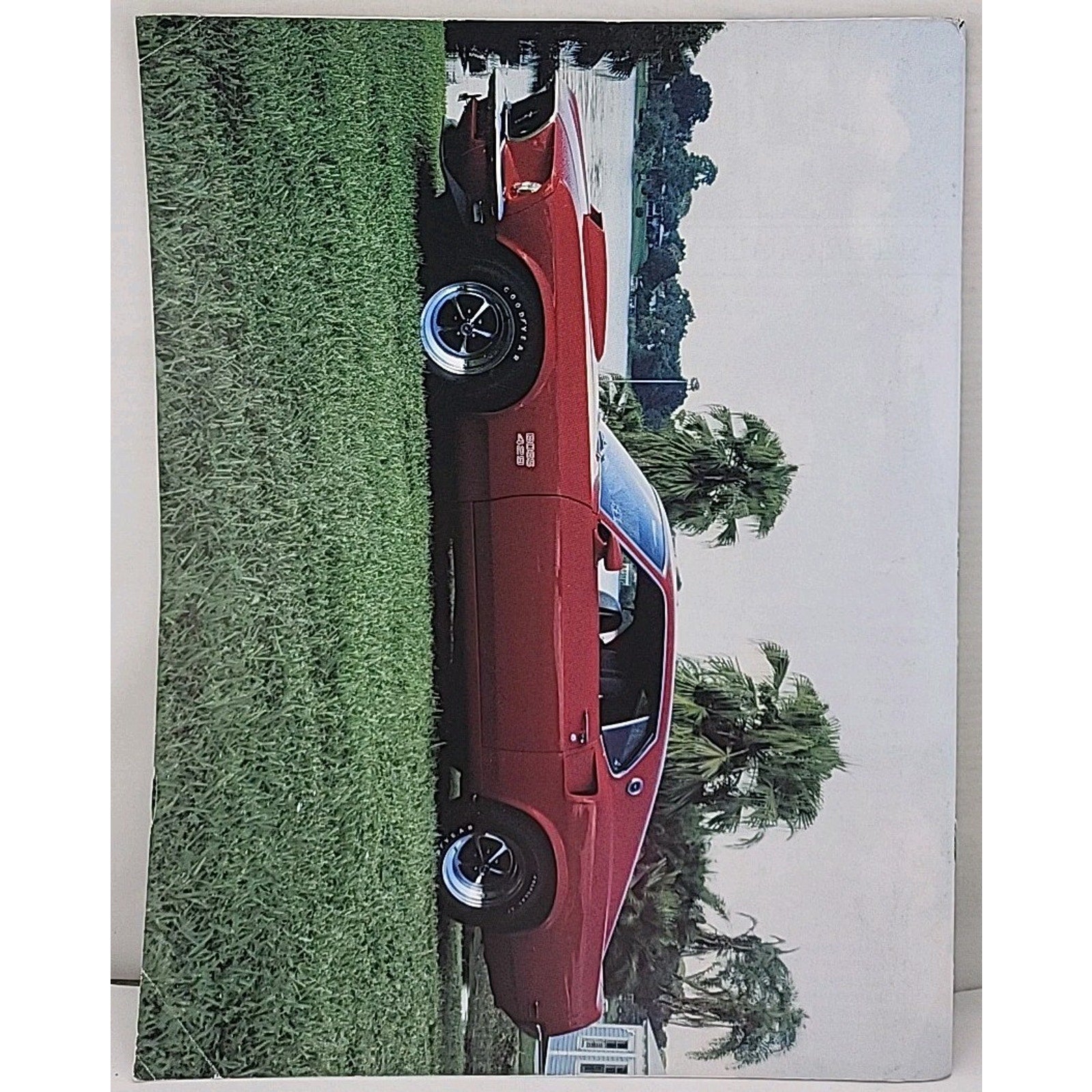 Mustang Times Magazine - February 1995 - Vol. 19 No. 2