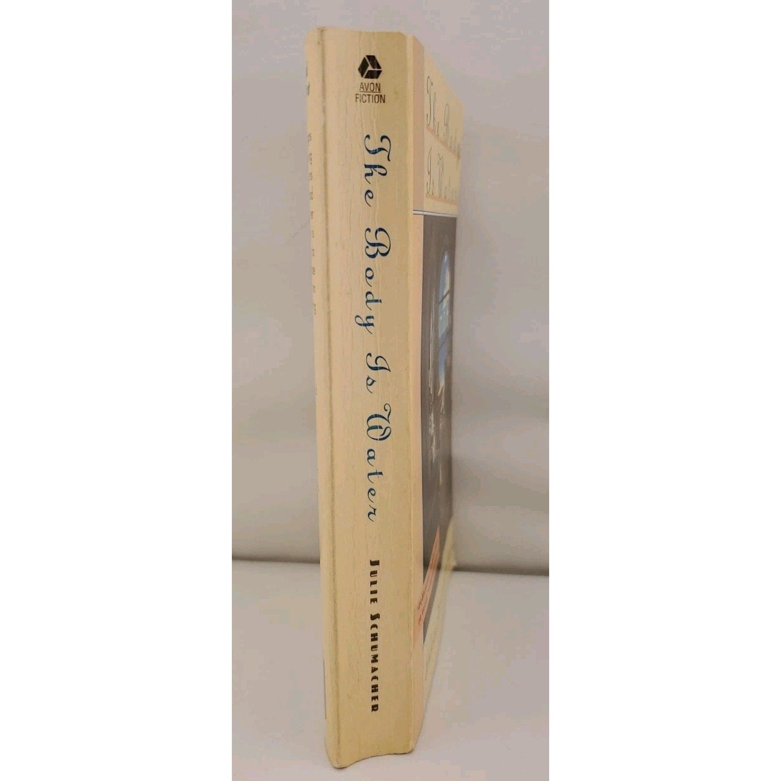The Body Is Water - Mass Market Paperback By Schumacher, Julie
