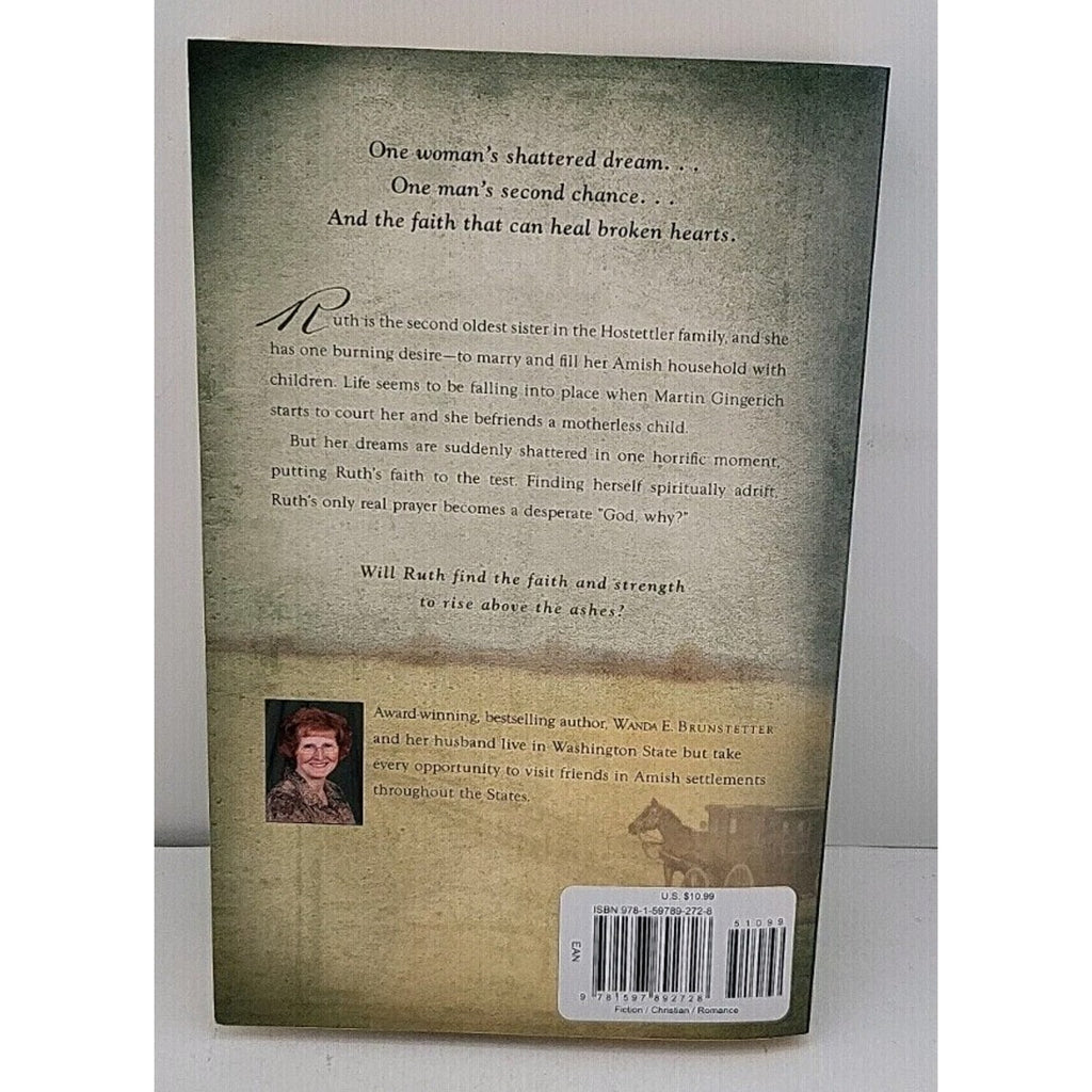 Sister's Test by Wanda E. Brunstetter (2008, Trade Paperback)