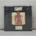 Volatile Composition by Wigglepussy, Indiana (CD, 2002) *Brand New*