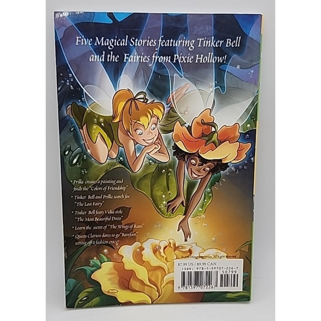 Disney Fairies Graphic Novel #2 : Tinker Bell and the Wings of Rani (Paperback)