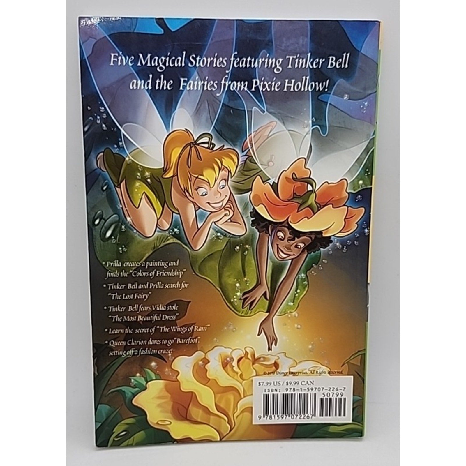 Disney Fairies Graphic Novel #2 : Tinker Bell and the Wings of Rani (Paperback)