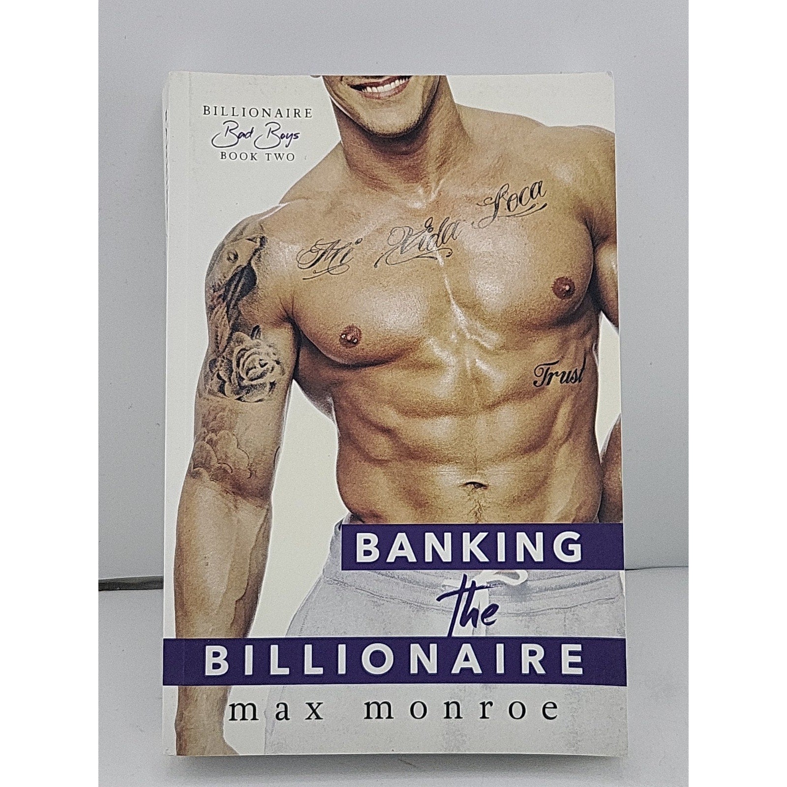 Banking the Billionaire by Max Monroe (2016, Trade Paperback)