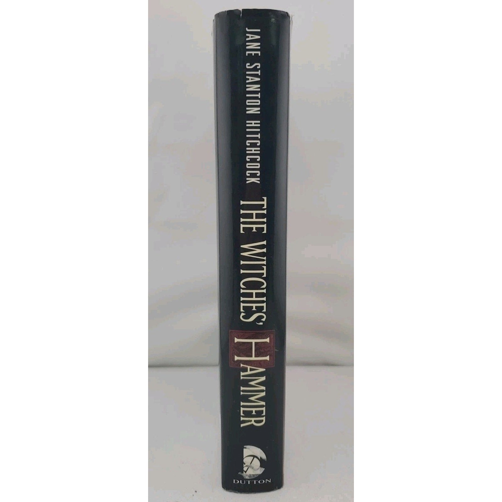 Witches' Hammer by Jane Stanton Hitchcock (1994, Hardcover)