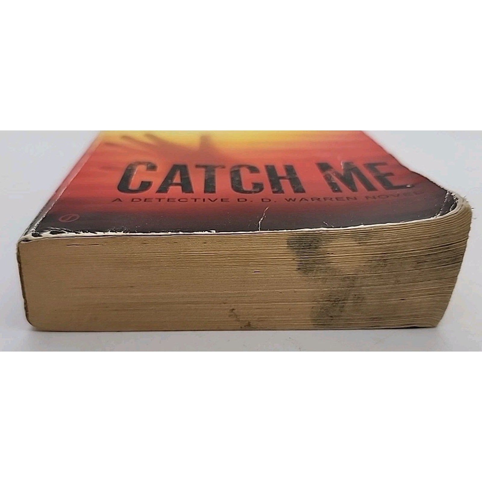 Catch Me by Lisa Gardner (2012, Mass Market)