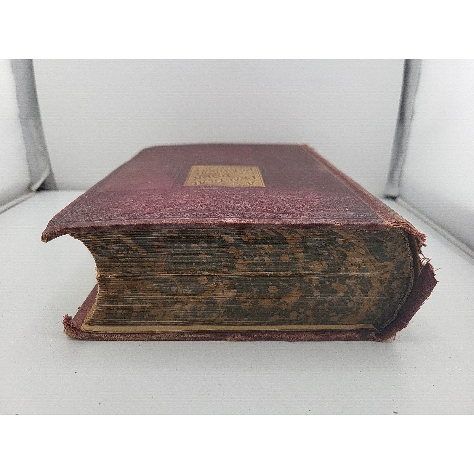A Practical Book For Practical People 1895 Book