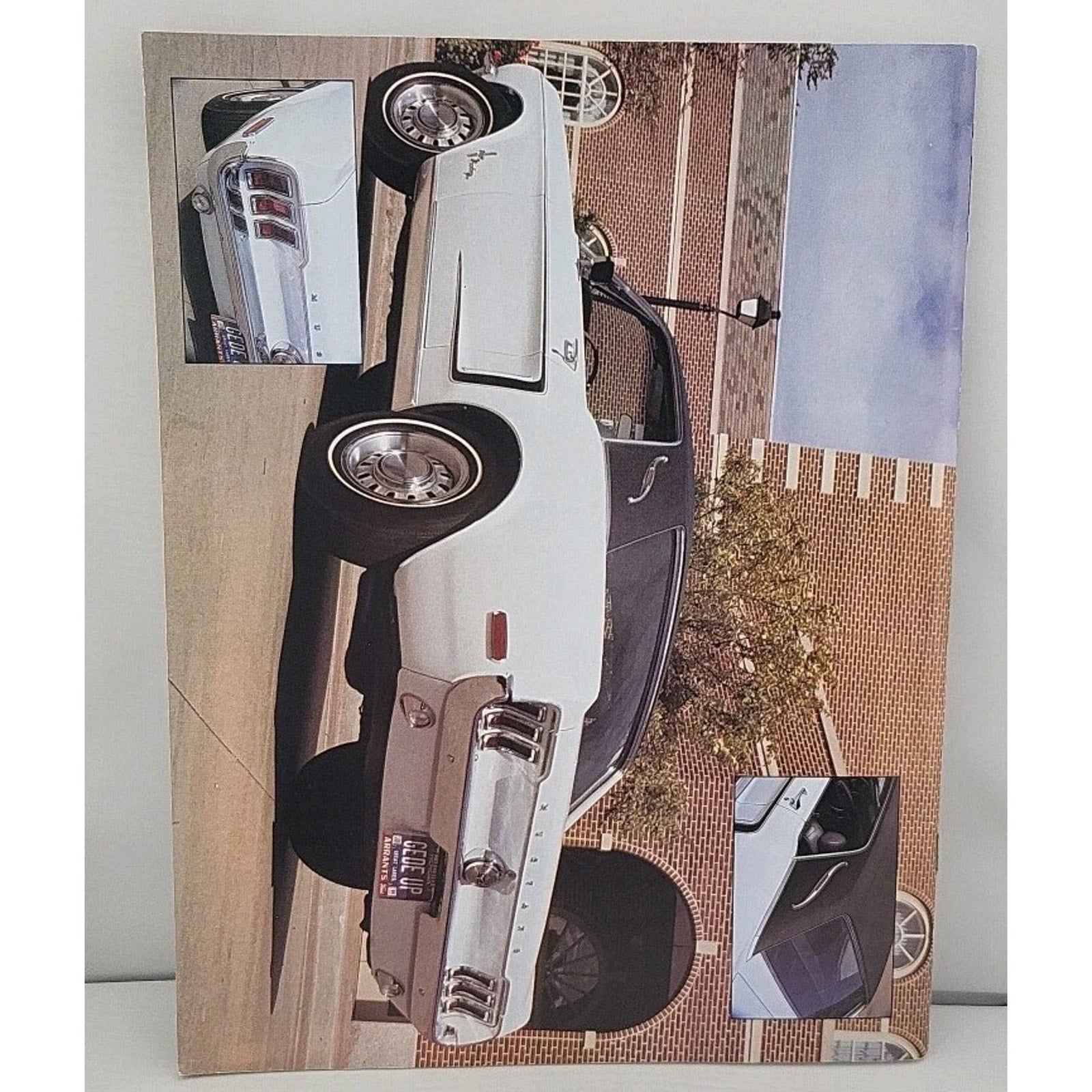 Mustang Times Volume 19 No 3 March 1994