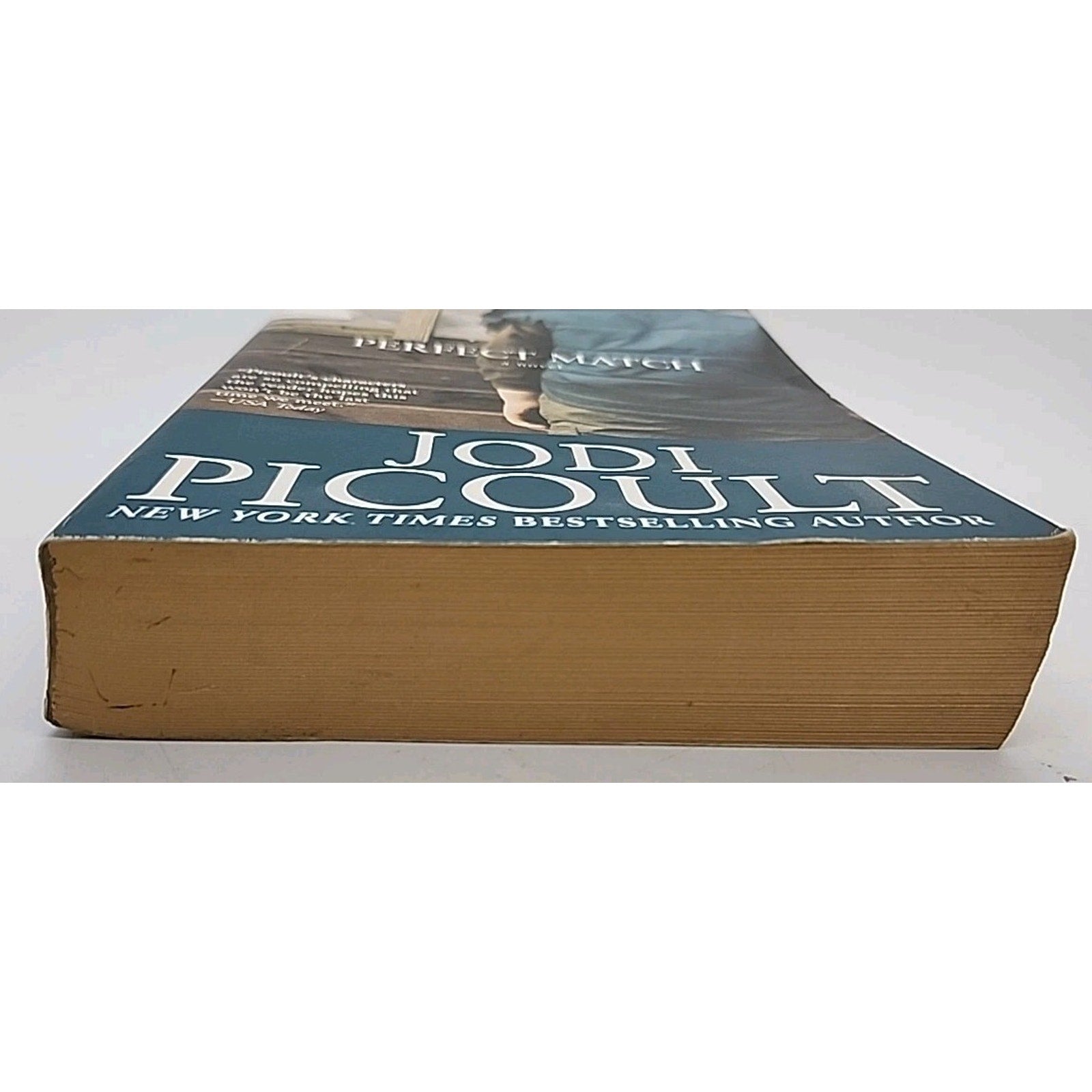 Perfect Match : A Novel by Jodi Picoult (2003, Trade Paperback)