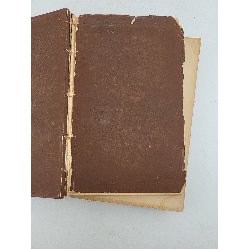 An American Family In Germany By J. Ross Browne