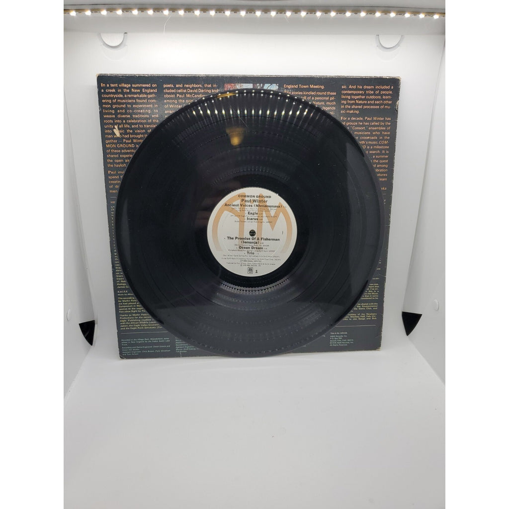 Paul Winter Common Ground (Record)