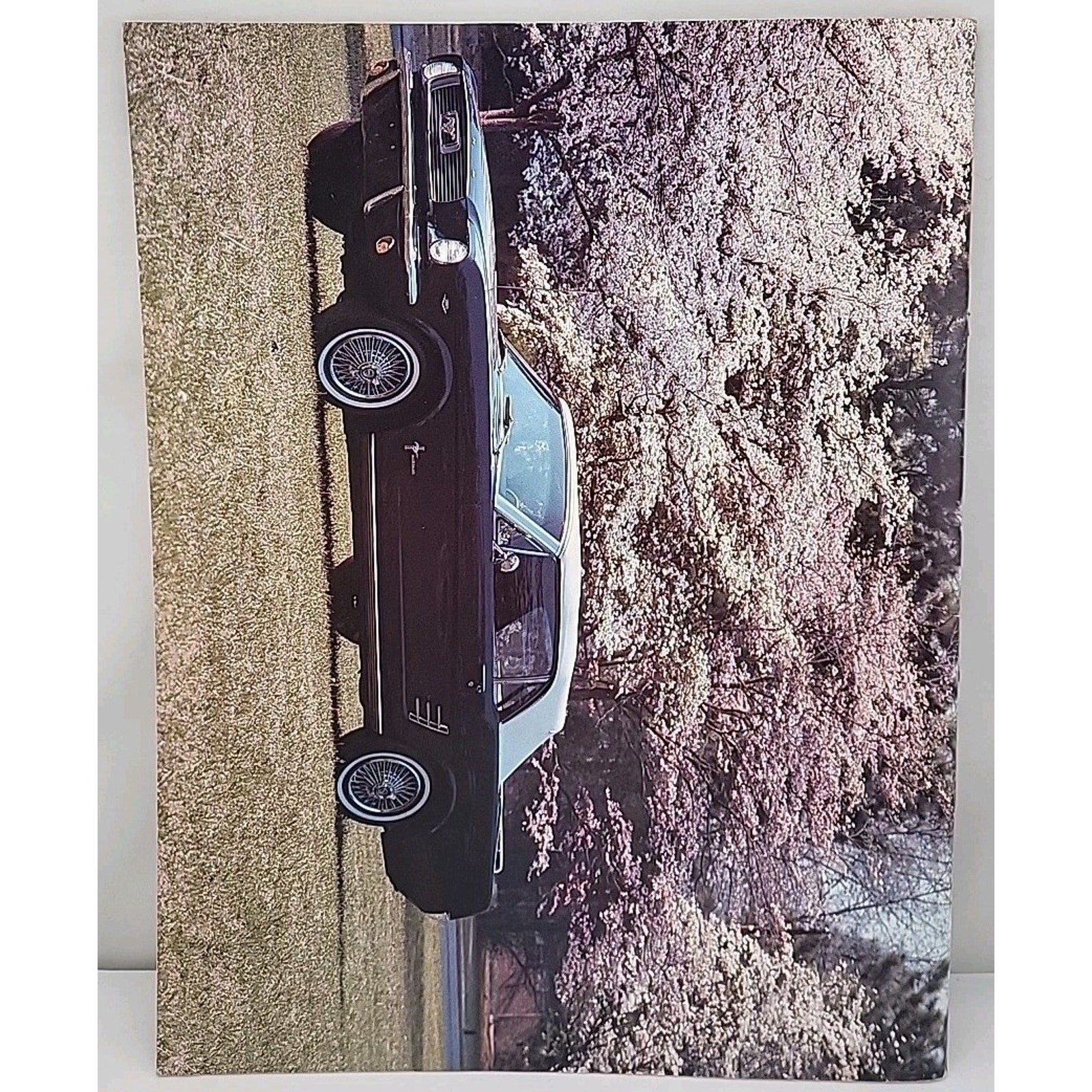 Mustang Times Magazine April 1987 Vol. 11 No. 4