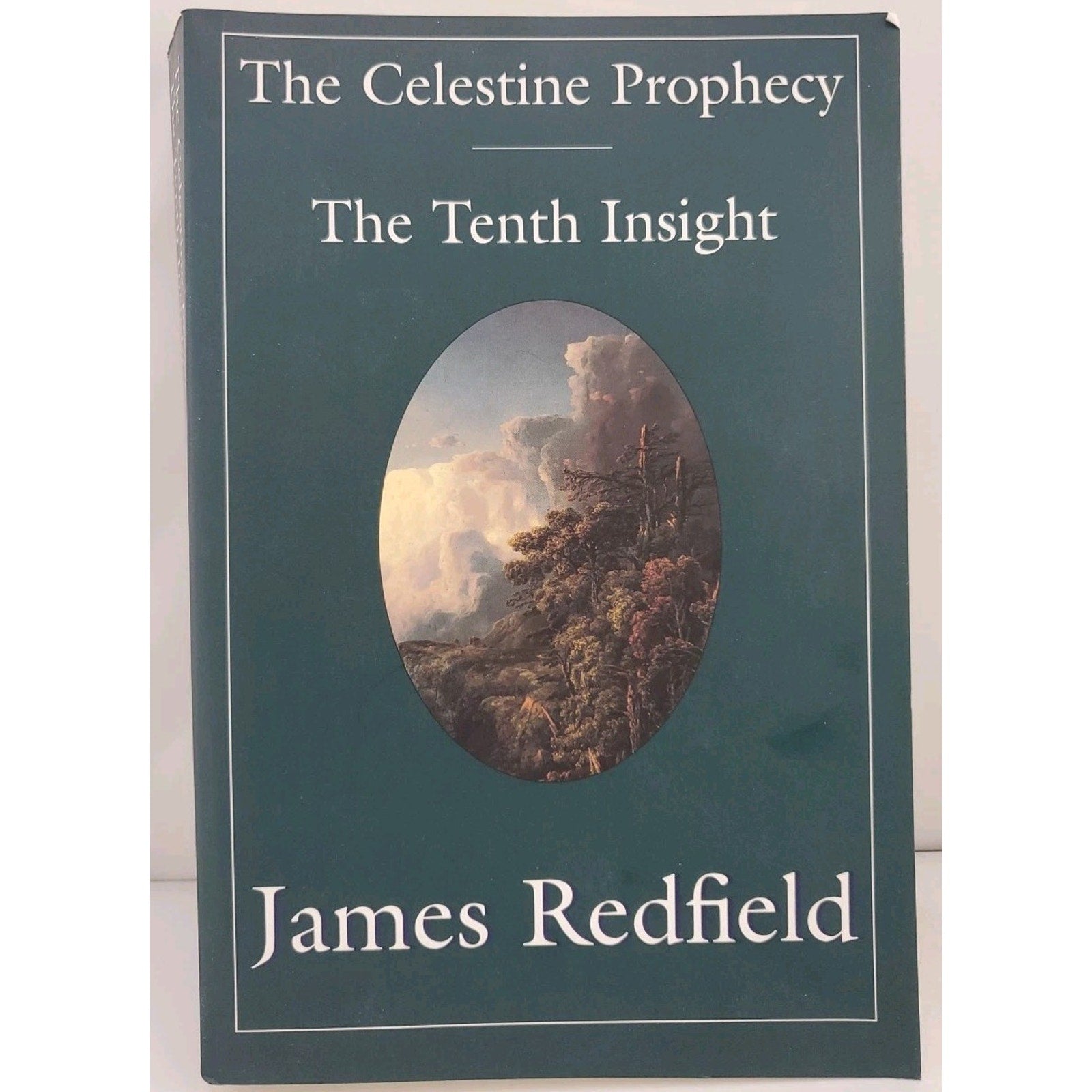 Tenth Insight : Holding the Vision by James Redfield (1998, Trade Paperback)