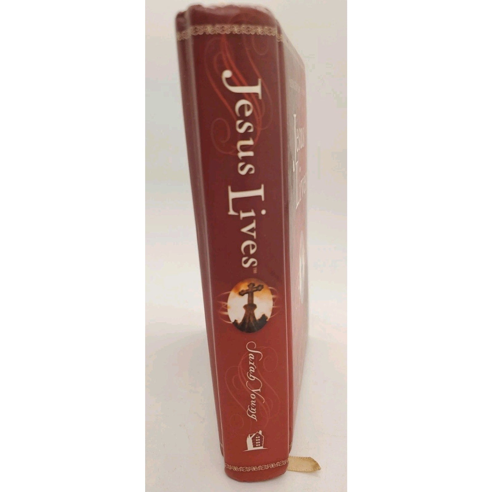 Jesus Lives : Seeing His Love in Your Life by Sarah Young (2012, Hardcover)