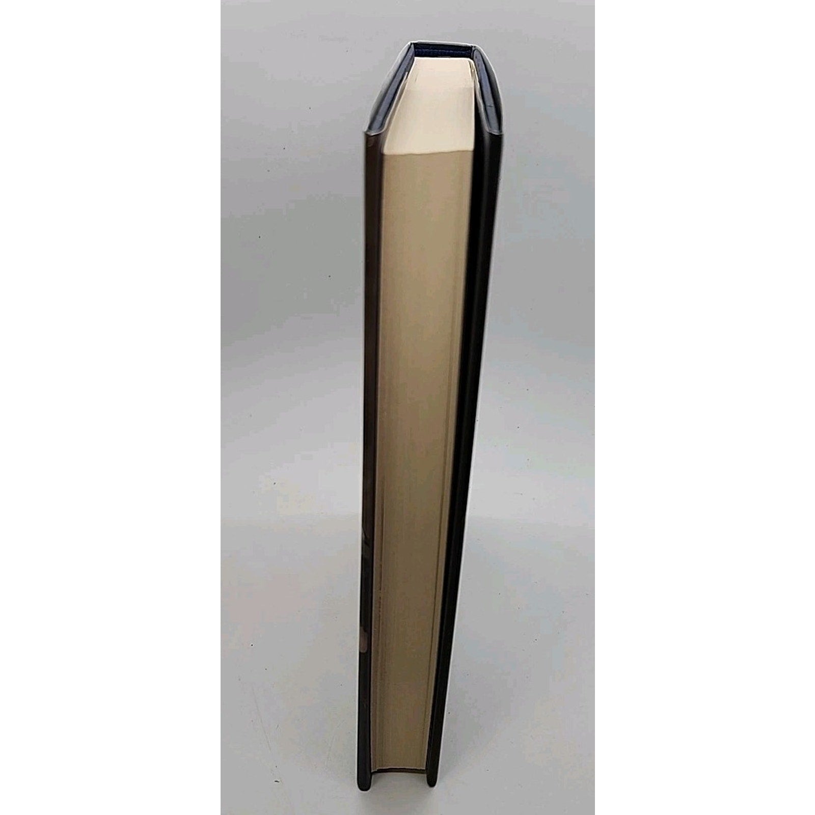 Haze by L. E. Modesitt Jr. (2009, Hardcover)