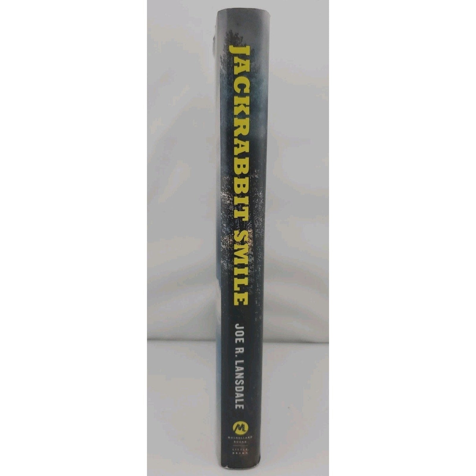 Jackrabbit Smile by Joe R. Lansdale (2018, Hardcover)