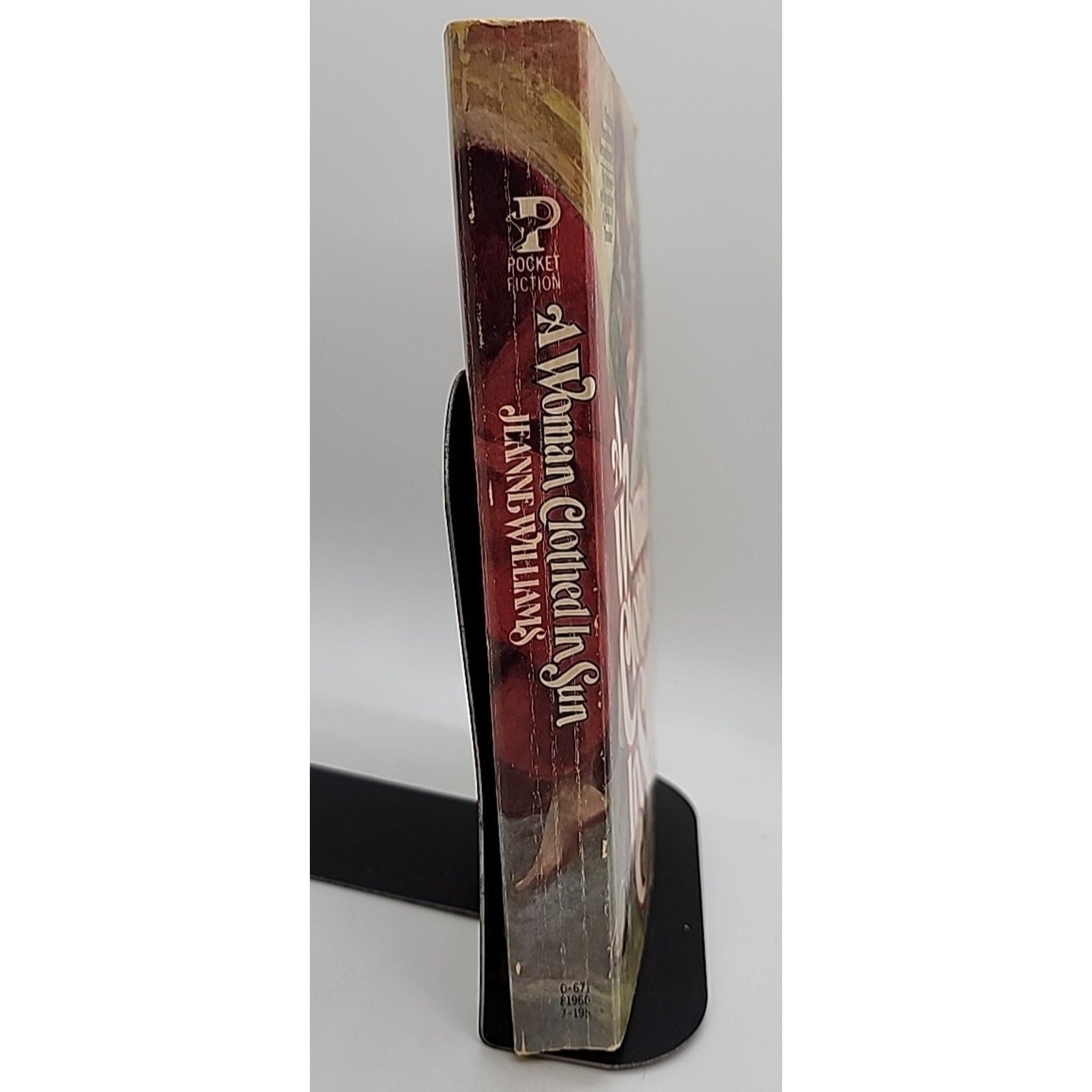 A Woman Clothed in Sun by Jeanne Williams (Paperback)
