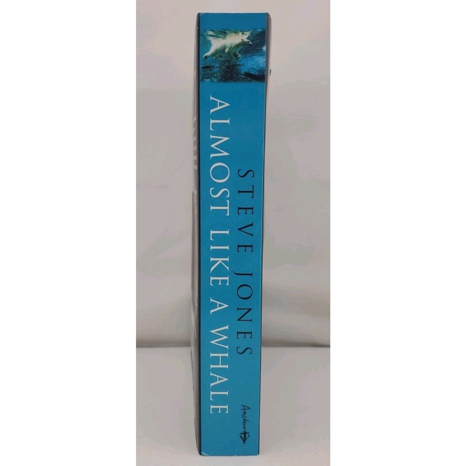 Almost like a Whale: The Origin of the Species Updated By Steve (Paperback)