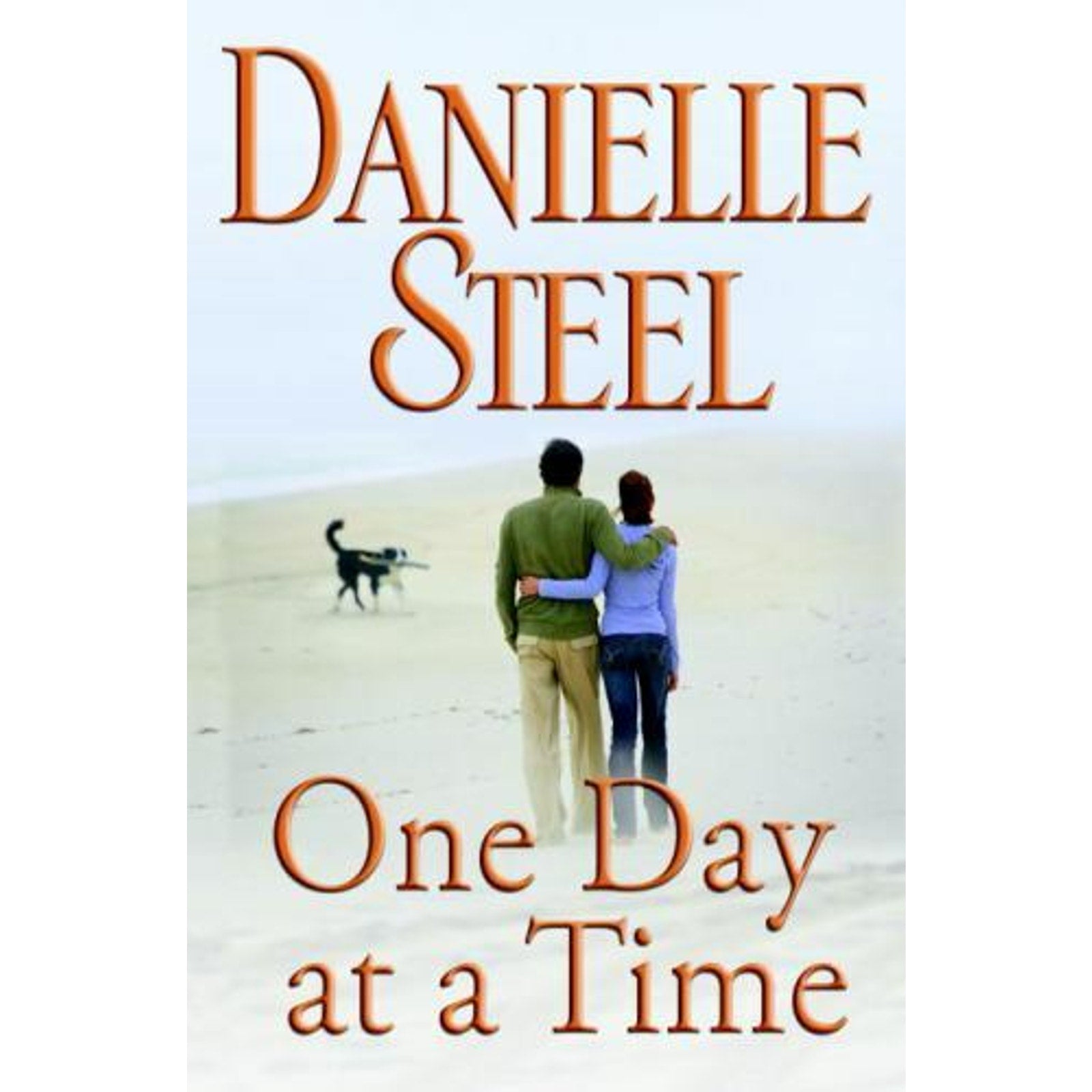 One Day at a Time by Danielle Steel (2009, Hardcover)