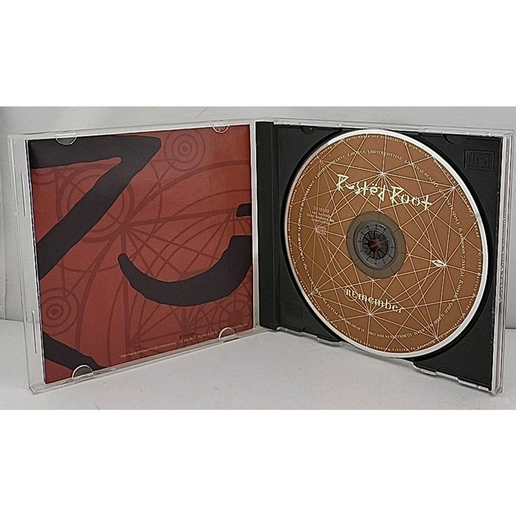 Remember by Rusted Root (CD, 1996)