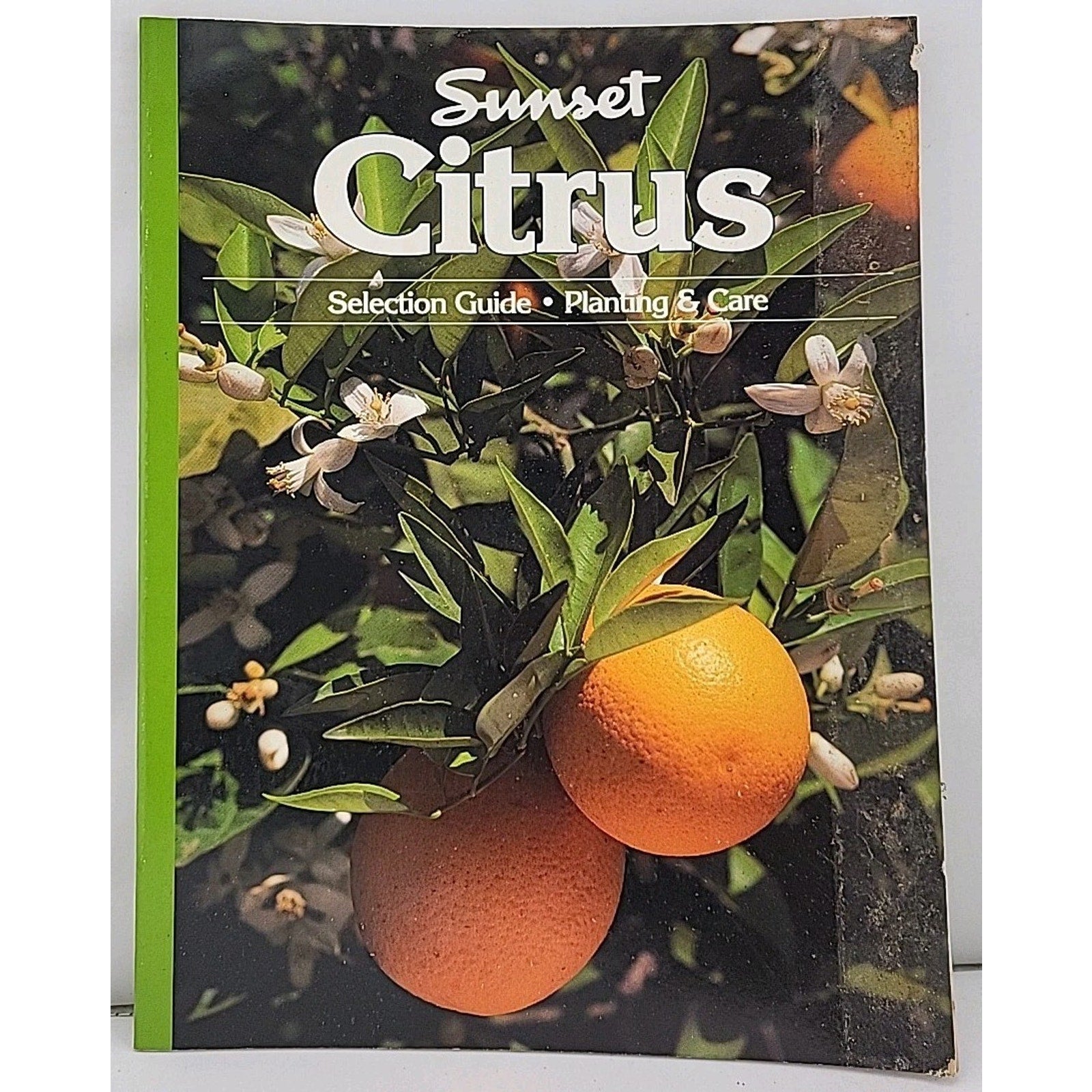 Citrus by Sunset Publishing Staff (1996, Trade Paperback)