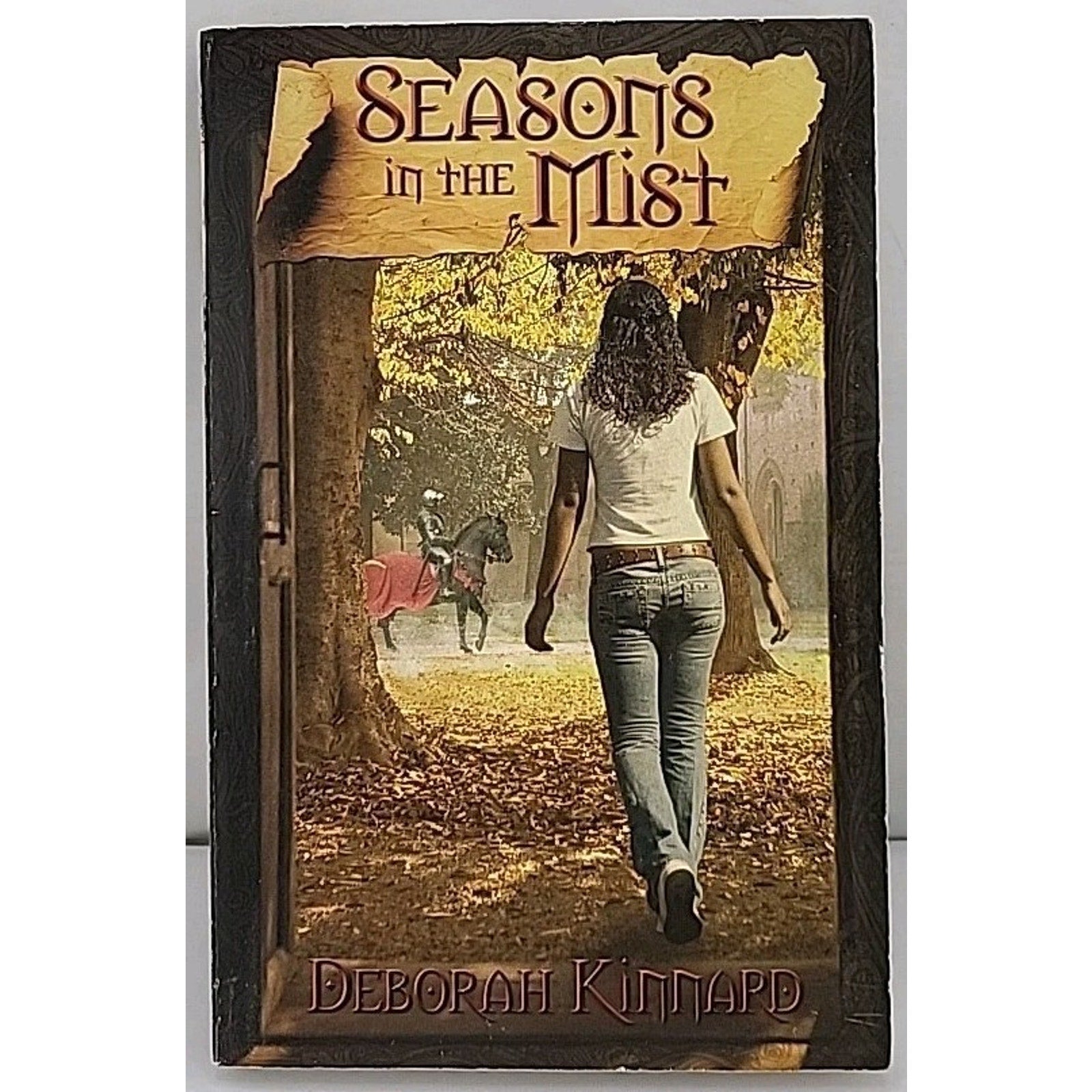 Seasons in the Mist by Deborah Kinnard (2010, Trade Paperback)