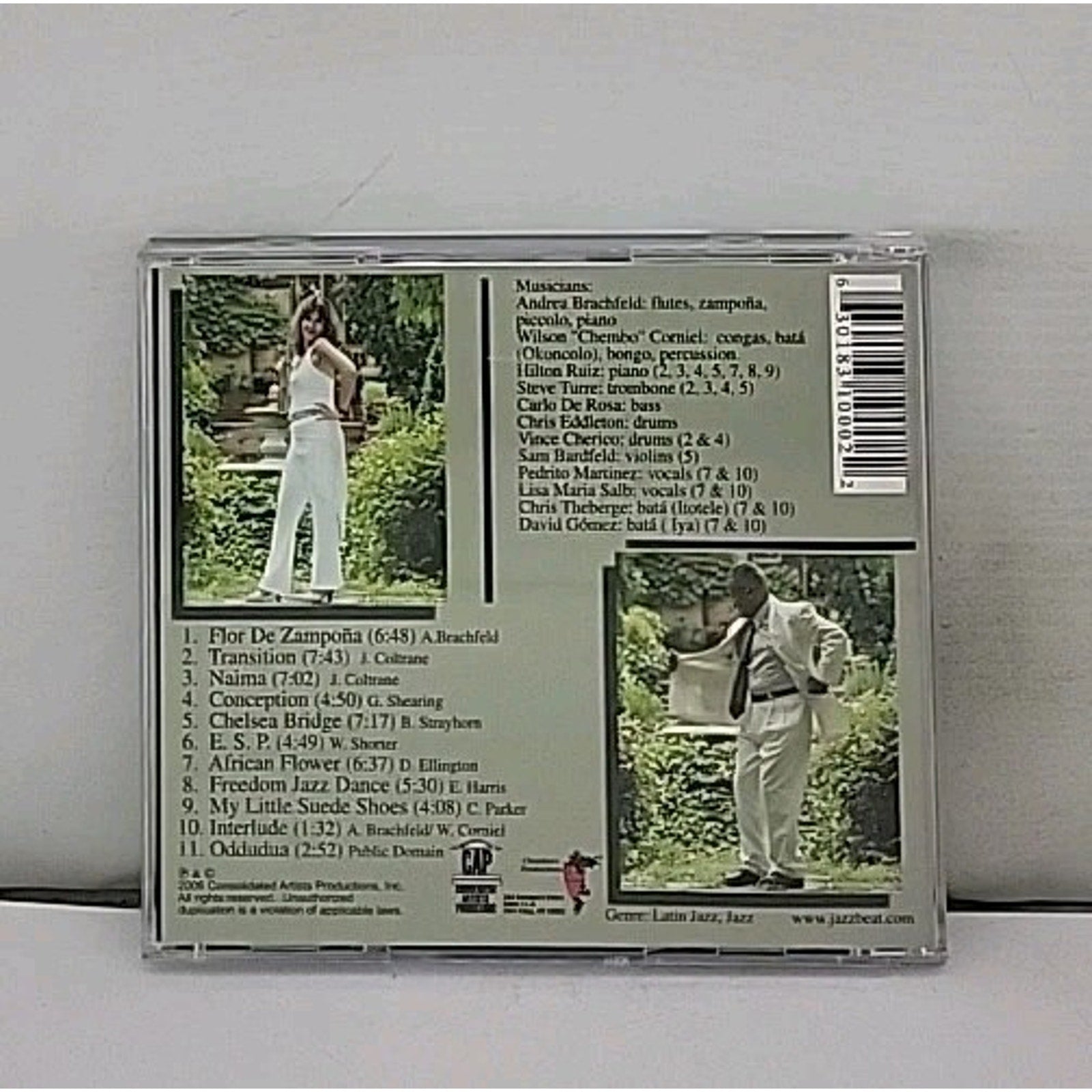 Beyond Standards by Andrea Brachfeld (CD, 2006)