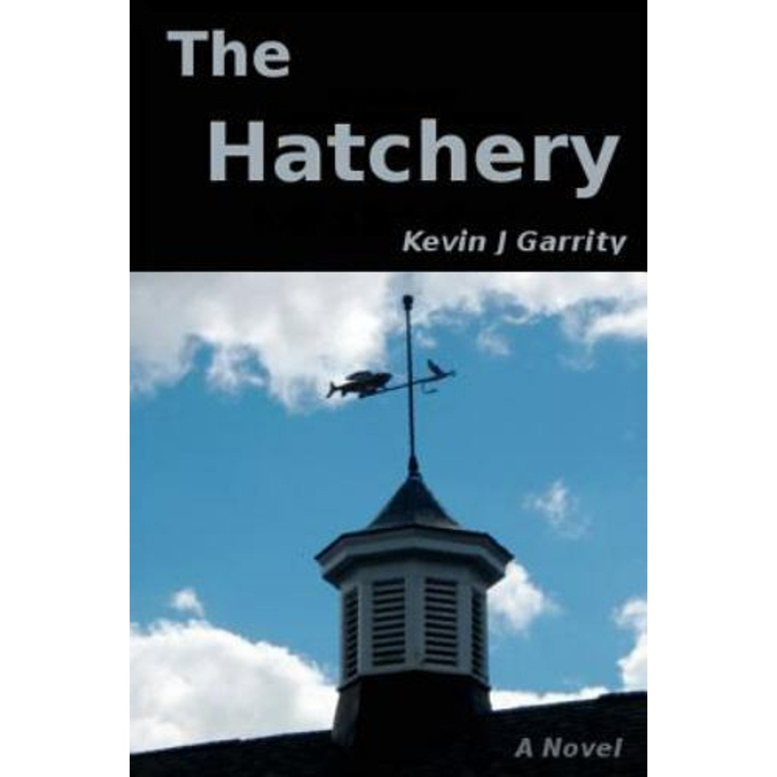 The Hatchery : A Walt Pitowski Novel by Kevin J. Garrity (2013, Trade Paperback)